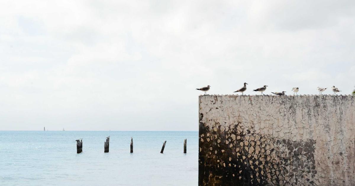 Disney+マーベル初心者向け視聴ガイドのイメージ