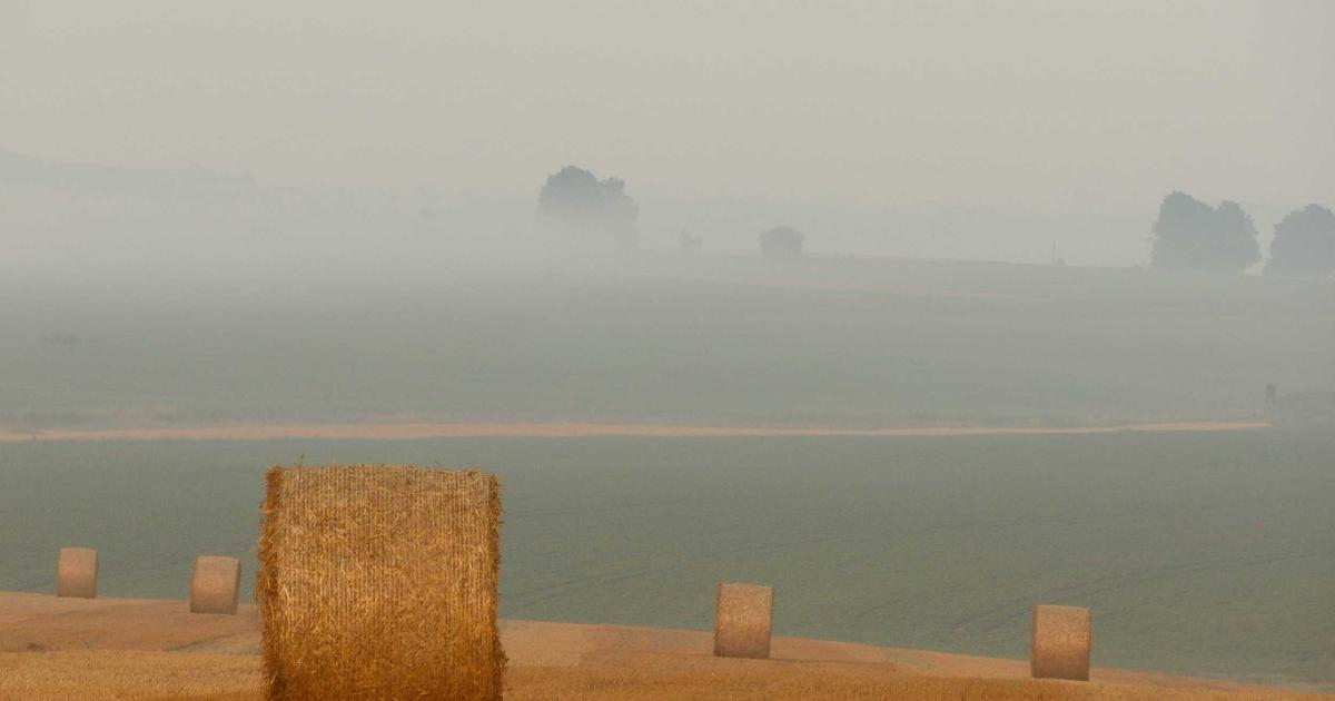 Netflixおすすめドラマを選ぶイメージ