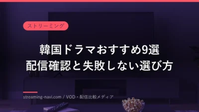 韓国ドラマの配信先と視聴時間を確認するリビングのイメージ